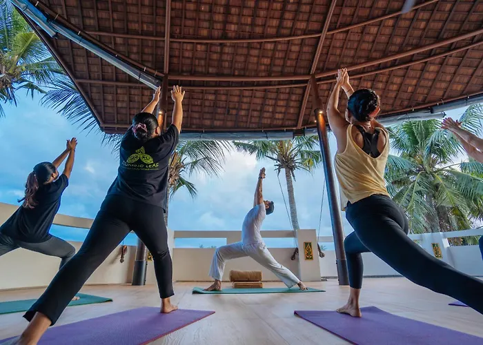 ベッド・アンド・ブレックファスト The Bodhi Leaf Wellness *